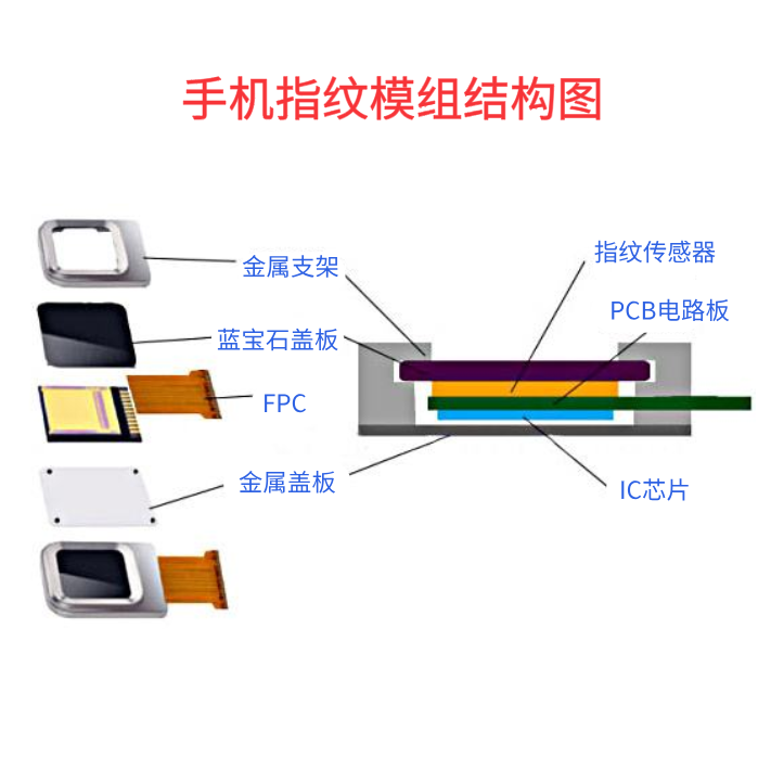 手機指紋模組結(jié)構(gòu)圖